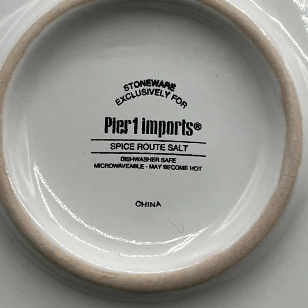Pier 1 Imports Spice Route Salt Stoneware Dinner Plate 10.5